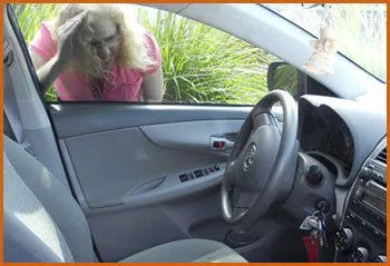 Village Locksmith Store Wesley Chapel, FL 813-359-0005 - 15-emergency-lockout